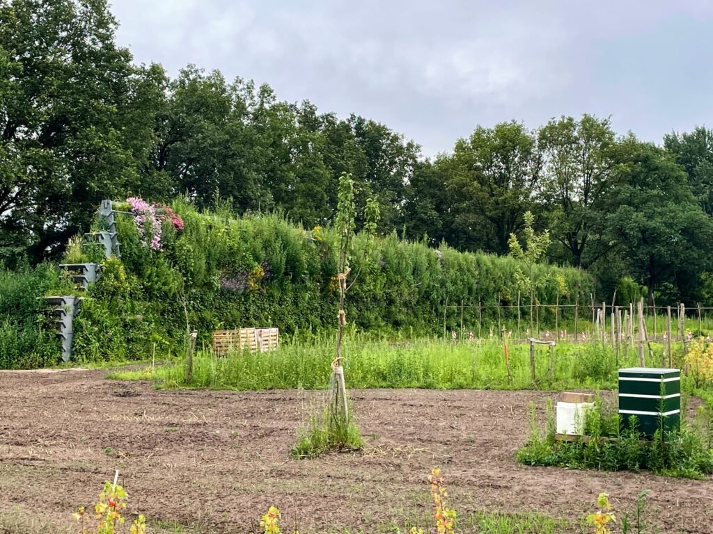 Hiddink project werkzaamheden geluidswal Park Achterhoek